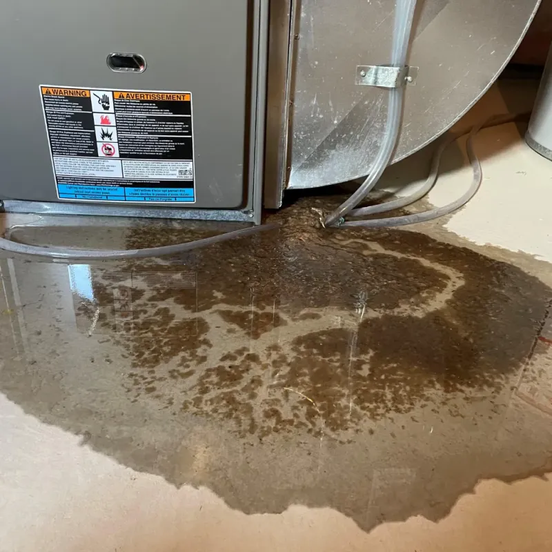 Appliance Leak Cleanup in Fairmount, IN