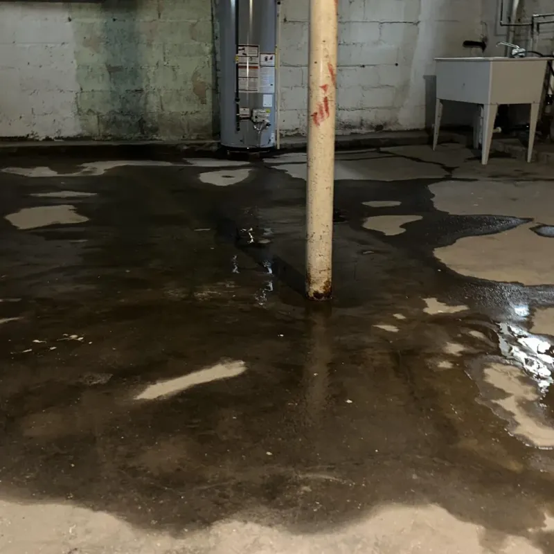 Emergency Water Extraction And Removal in Fairmount, IN